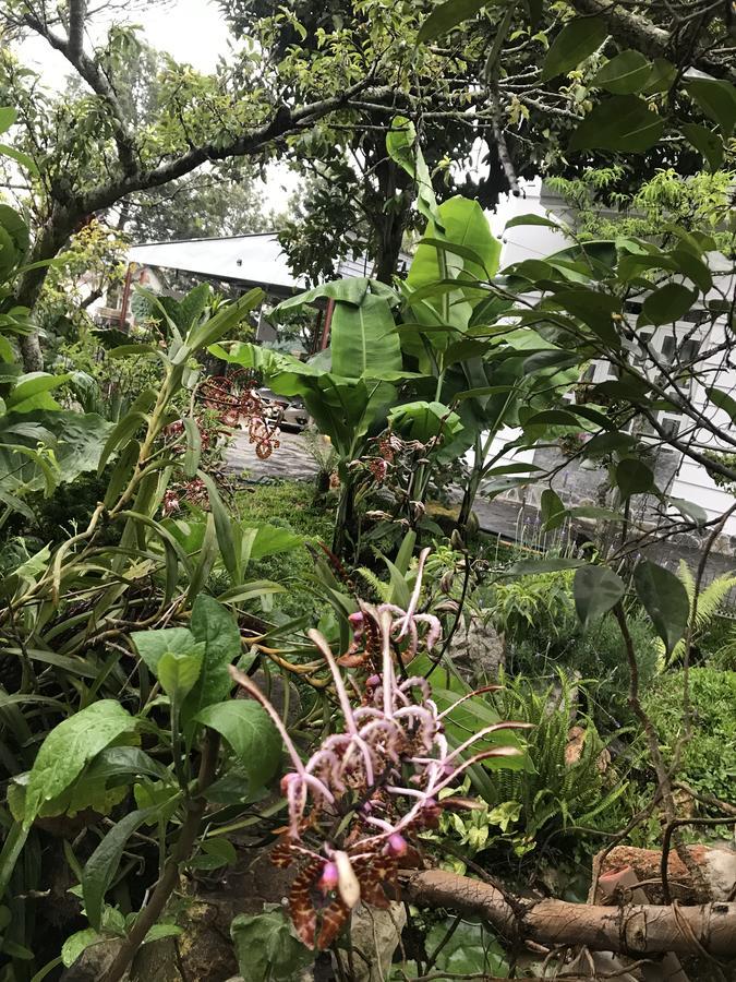 De Daisy Villa Homestay ดาลัด ภายนอก รูปภาพ
