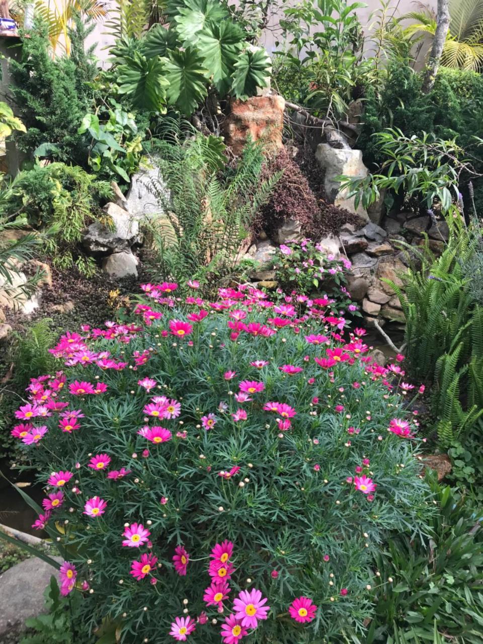 De Daisy Villa Homestay ดาลัด ภายนอก รูปภาพ