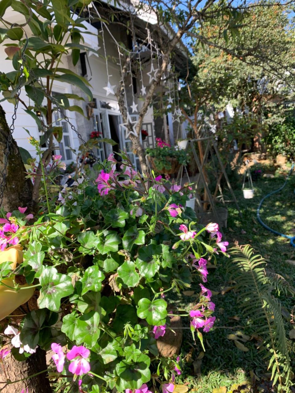 De Daisy Villa Homestay ดาลัด ภายนอก รูปภาพ