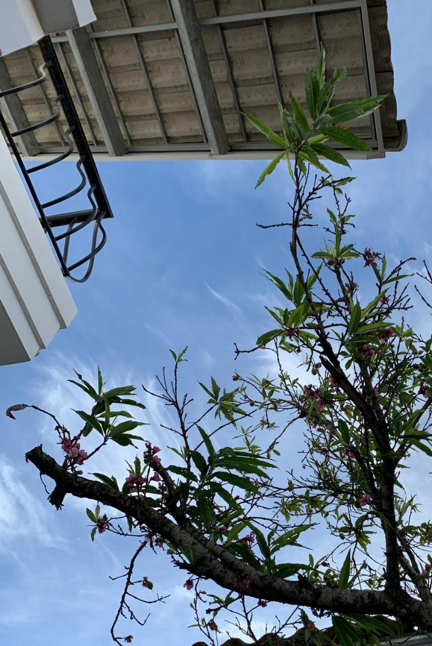 De Daisy Villa Homestay ดาลัด ภายนอก รูปภาพ